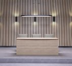 Стол президиум ПР-2 